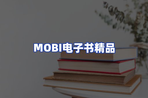 外文电子书产品